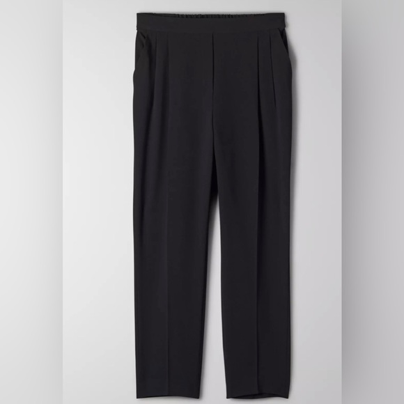 Aritzia Babaton Cohen trouser - Picture 11 of 11